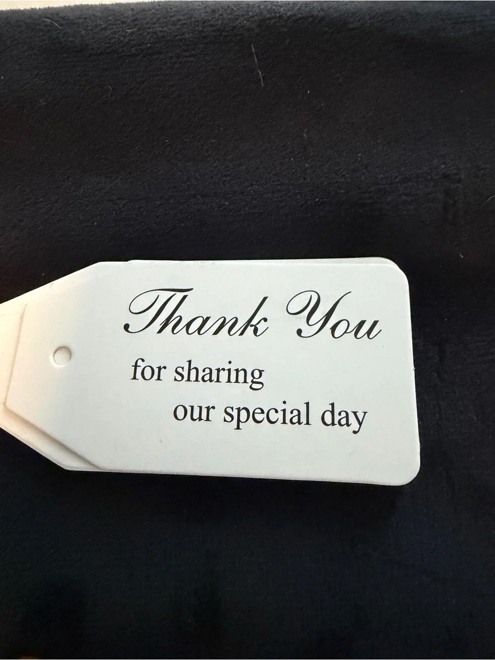 Copper Heart Skeleton Key Party Favors – Thank You Tags Included